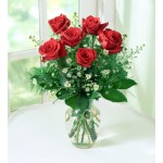 6 Red Roses
