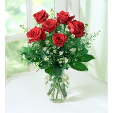 6 Red Roses